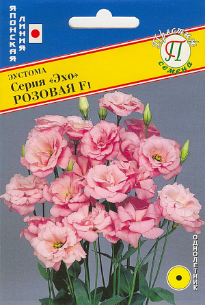 Семена Эустома Эхо розовая F1.<br>
Эустома серии «Эхо» - это первая в мире серия с крупным махровым цветком раннего цветения. Высота растения 70 см, цветок диаметром 6-7 см, прекрасно смотрится в срезке.