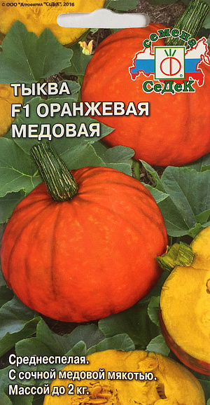 Семена Тыква Оранжевая медовая F1