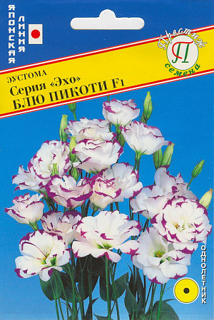 Семена Эустома Эхо блю пикоти F1.
Эустома серии «Эхо» - это первая в мире серия с крупным махровым цветком раннего цветения. Высота растения 70 см, цветок диаметром 6-7 см, прекрасно смотрится в срезке.
