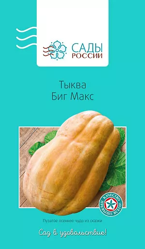 Тыква Биг Макс 3шт Тыква Биг Макс 3шт