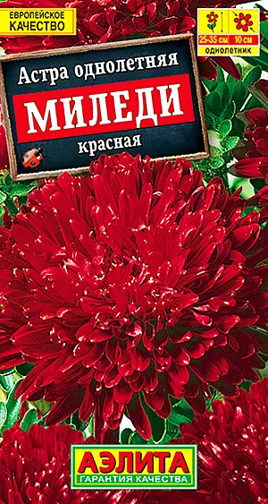 Астра Миледи красная из каталога Астра Семена Астра Миледи красная.
Лучшая серия астр для контейнерного озеленения. Формирует компактные, крепкие, хорошо разветвленные кусты высотой 25-35 см. Зацветает на две недели раньше обычных сортов, цветет обильно до устойчивых заморозков. Крупные густомахровые соцветия 9-10 см очень привлекательно выглядят на низкорослых кустах. Отличаются идеальной формой, особой аккуратностью – центр соцветий плотно закрыт лепестками. Сорт используется для украшения балконов, окаймления садовых дорожек, для оформления цветников разных типов и стилей.
Агротехника. Выращивают рассадным способом. С развитием первой пары настоящих листочков сеянцы пикируют. На постоянное место рассаду высаживают в возрасте 30-35 дней. Возможен посев семян в открытый грунт весной или под зиму, в конце октября, на глубину 0,5-1 см. Растениям необходимы регулярные поливы, прополки, рыхления и подкормки.