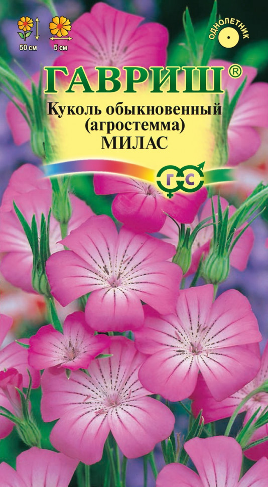 Семена цветов гавриш. Семена Гавриш Агростемма Милас 0,5 г. Семена Агростемма Милас. Семена Гавриш Агростемма Милас. Агростемма гигант (Аэлита).