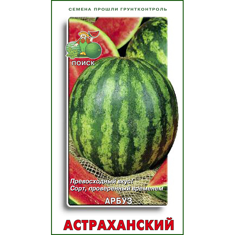 Купить семена Дыня Ананасная от Седек, 5156