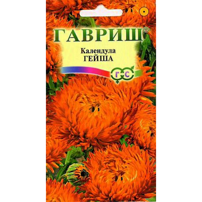 SpongeBob SquarePants секс мультфильмін қараңыз