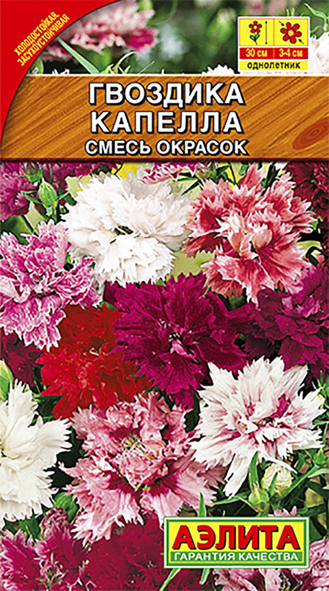 Гвоздика смесь окрасок. Гвоздика китайская капелла махровая. Гвоздика капелла махровая китайская смесь. Гвоздика китайская махровая Мон Амур смесь. Гвоздика китайская капелла махровая (0,5г.).