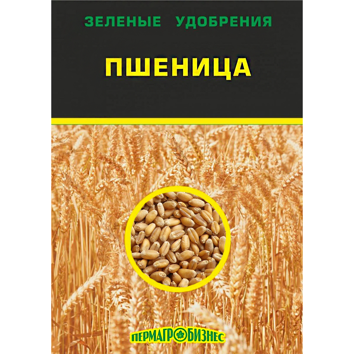 Купить Рожь озимая(сидераты) от Пермагробизнес, 5367