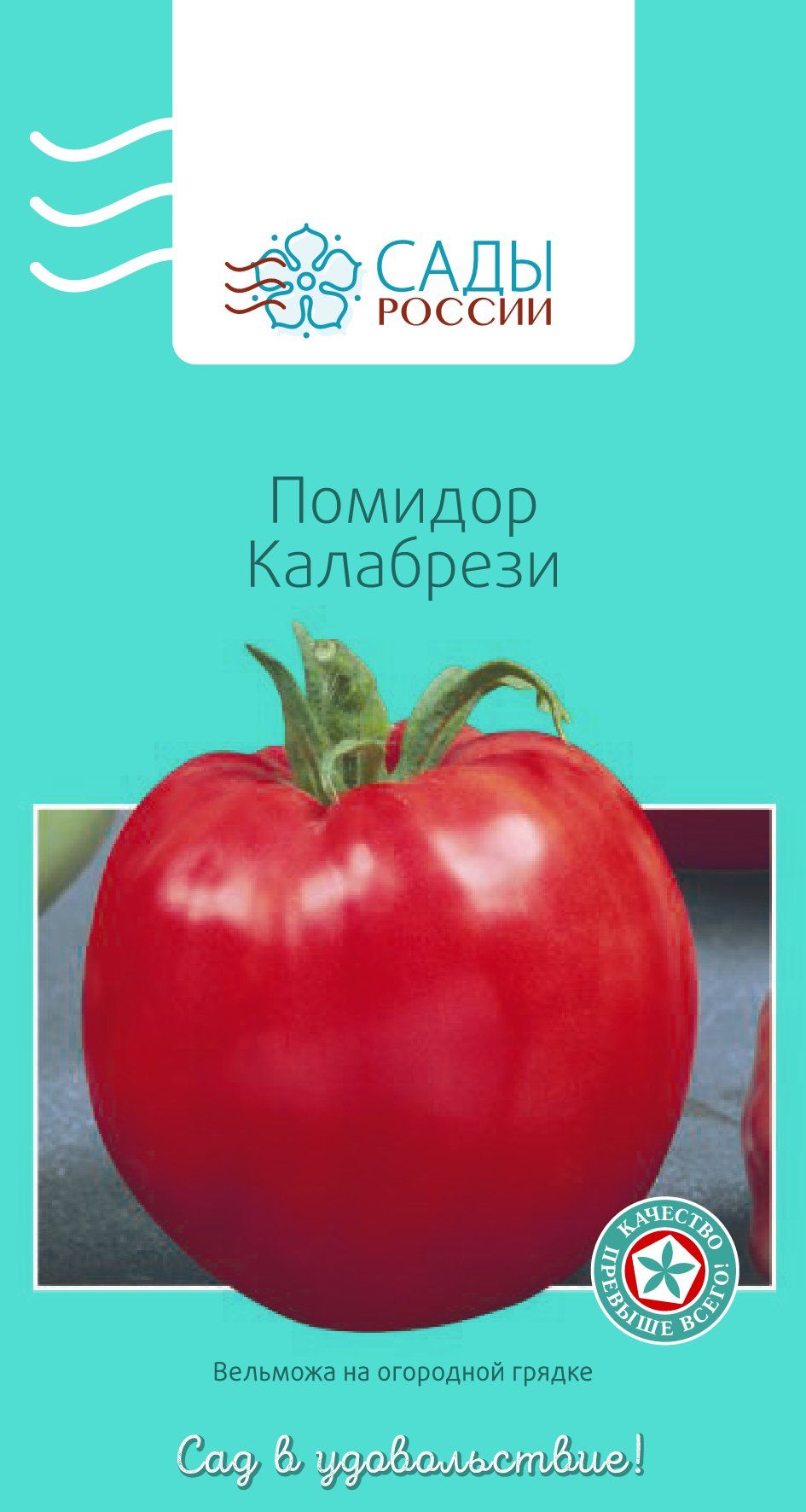 HD сапасында қызбен секс