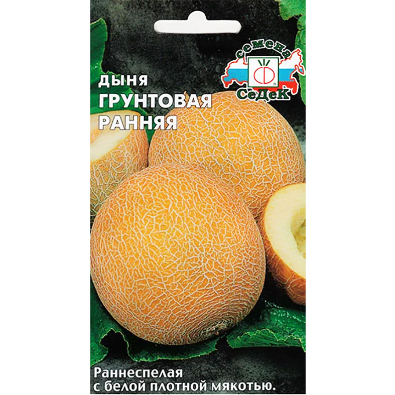 Сбор плодов и их сохранение