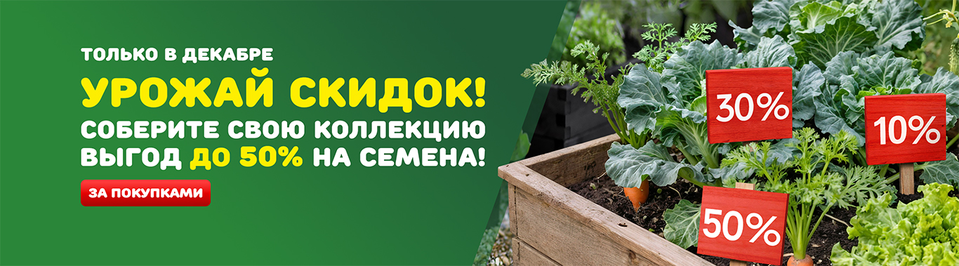 Урожай скидок 2025