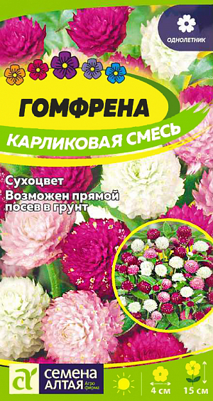 <div>
 Семена Гомфрена Карликовая смесь окрасок.
</div>
<p style="text-align: justify;">
 Довольно редкий сухоцвет. Образует сильноветвистый компактный кустик высотой до 15 см. Соцветия необычной конической формы декоративны не только в композициях из сухих цветов, но и на клумбах, бордюрах. Цветет с июля по октябрь, сушеные соцветия хорошо сохраняют окраску и форму. Растение предпочитает солнечное место, почвы рыхлые и питательные течение сезона несколько раз подкармливают. Размножают посевом семян в ящики в марте.
</p>