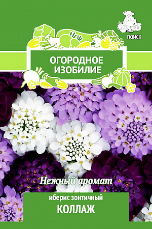 Семена Иберис зонтичный Коллаж.
Отличный медонос, нежный аромат. Ветвистое растение раскидистой формы, высотой 25-40 см. Душистые цветки собраны в плотные соцветия до 5 см диаметром различной окраски. Цветет с июня в течение двух месяцев. Используют для сборных цветников, рабаток и бордюров.
Посев: май
Глубина посева: 0.5 см
Время цветения: июнь-август
Схема посадки: 20х25 см