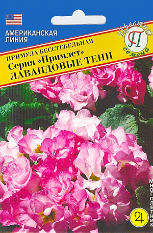 Семена Примула Серия Примлет Лавандовые тени бесстебельная.
Многолетнее невысокое растение (13-15 см). Низкие одиночные цветоносы чуть возвышаются над розеткой листьев, создавая шапочку из цветов, наподобие розочки диаметром до 4-5 см. Красочное растение для садов и двориков, контейнеров и вазонов.