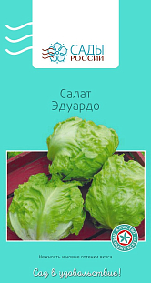 Семена Салат листовой Эдуардо