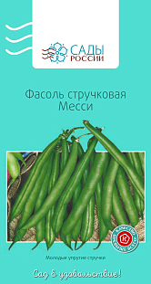 Семена Фасоль Месси
