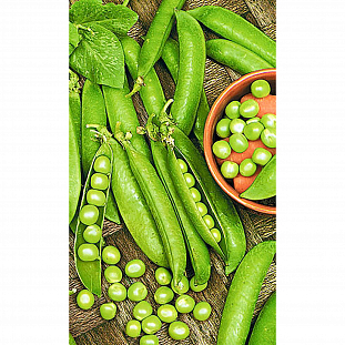 Семена Горох Сладкая лакомка