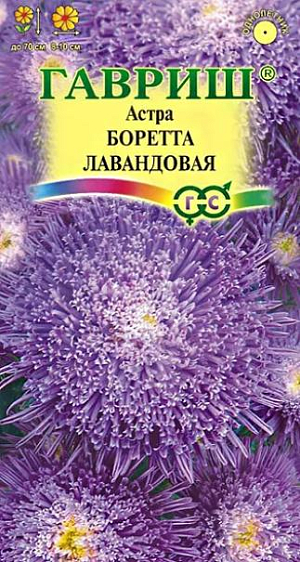 Семена Астра Боретта лавандовая<br>
 <br>
 Растение однолетнее, колонновидной формы, высотой до 70 см. Соцветия лавандовые, густомахровые, диаметром 8-10 см. Центральная часть соцветия состоит из узкотрубчатых цветков, плотно прилегающих друг к другу, краевая — в виде красивого воротничка из длинных язычковых цветков, которые позднее скручиваются в трубки. Для выращивания подходят хорошо освещенные участки с плодородной суглинистой или супесчаной почвой. Астры обладают высокой холодостойкостью – хорошо переносят заморозки до -3-4°C. Выращивают, чаще всего, рассадным способом. Используются для получения срезки и оформления участка.<br>