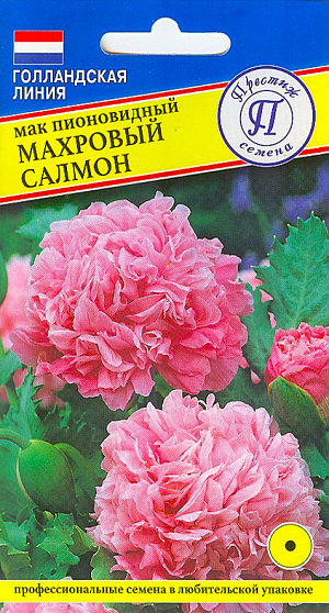 Семена Мак пионовидный Махровый Салмон.
Однолетнее растение высотой 80-90 см. Цветки крупные пионовидные махровые 9-12 см в диаметре, лососёво-розового цвета. Посев: на постоянное место в открытый грунт ранней весной (апрель - май), или под зиму. Для обеспечения более длительного цветения ( в течение всего лета) семена весной сеют в несколько сроков с интервалом 2 – 3 недели. При посеве весной всходы появляются на 7-12 день. Растение холодостойкое, но плохо переносит пересадку. Хорошо растёт на любых садовых почвах, но проявляет свои лучшие декоративные качества на почвах, содержащих известь. Не любит застоя воды. Предпочитает солнечное местоположение. Цветет обильно с июля до осени. Для продления цветения, увядшие цветки необходимо удалять. Красиво смотрятся в миксбордерах, группах, рабатках, каменистых садиках и в срезке, но держатся недолго.