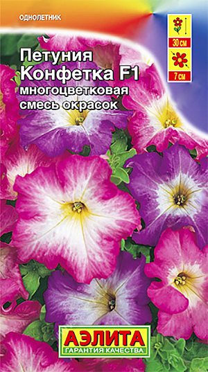 Семена Петуния Конфетка многоцветковая смесь окрасок F1.
Смесь представлена неприхотливыми гибридами из американской серии «Мираж». Они сочетают высокую устойчивость к неблагоприятной погоде и крупный размер цвет-ка O7-8 см. Формируют пышные кусты 25-35 см высотой с обильным, длительным цветением. Используется в любом цветочном оформлении – на клумбах, в бордюрах, в висячих корзинах, в балконных контейнерах. Выращивается через рассаду. Посев семян на рассаду. Семена в гранулах! Гранулы располагают на поверхности почвы, не заделывая их, хорошо увлажняют из распылителя. При попадании влаги на гранулу оболочка должна раствориться. Посевы накрывают стеклом для сохранения постоянной влажности до полных всходов. Февральским посевам требуется дополнительная подсветка. Сеянцы пикируют в фазе одного-двух настоящих листьев. В фазе пяти-шести листьев проводят формирующую прищипку. Рассаду высаживают в открытый грунт, когда минует угроза заморозков. 