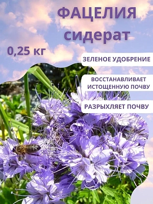 Сидераты Фацелия 0,25кг