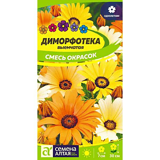 Семена Диморфотека смесь окрасок
