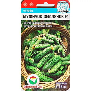 Семена Огурец Мужичок-землячок F1