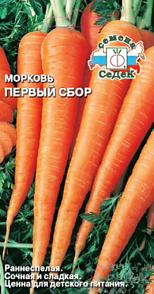 Семена Морковь Первый сбор