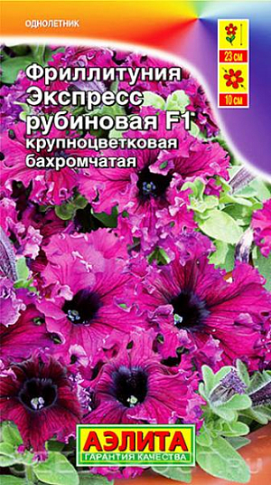 Семена Фриллитуния Экспресс рубиновая.
Уникальная компактная фриллитуния с великолепными крупными гофрированными цветками. Кустики не требуют обрезки и формирования, остаются плотными и низкими в течение всего сезона. Цветение раннее, обильное и продолжительное. Высота растений 18-23 см, диаметр цветков 9-10 см. Фриллитуния неприхотливая, засухоустойчивая, хорошо переносит воздействие дождя и ветра не теряя своей декоративности. Идеально подходит для выращивания в садовых вазах, балконных ящиках и кашпо. 