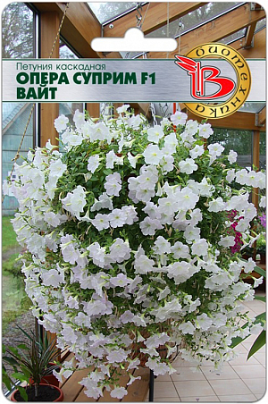 Семена петуния Опера Суприм F1 Вайт.<br>
 <br>
 Пожалуй, самая любимая серия каскадных петуний с блестящими и переливающимися цветами.Мощное растение образует цветущий шар до 120 см. в диаметре и разрастается всего на 10-20 см. в высоту.Менее требовательна к освещению, чем другие ампельные формы.Одно взрослое растение требует вазонов или корзин объемом не менее 15 л.<br>
 <br>
 Посев: производится с февраля по март. Драже высеваются в рассадные ящики на поверхность подготовленного субстрата, грунтом не присыпаются. Очень важно, чтобы высеянные драже были постоянно увлажнены и не пересыхали.
<p>
 Прорастание: всходы появляются на 10-15 день, при температуре проращивания 25-30°С.
</p>
<p>
 Пикировка: на стадии 2-3 пары настоящих листьев в горшочки 100мл. Температура доращивания 16-17°С. С апреля по май производится пересадка в горшки диаметром 9 -12 см. В горшках доращивание производится при температуре 18-20°С. Такая температура позволяет получить хорошо развитую коренастую рассаду.
</p>
<p>
 Грунт: должен быть легкий, с высоким содержанием питательных веществ и иметь значение рН 5,5-6,5.
</p>
<p>
 Высадка на постоянное место: производят, когда полностью минует угроза заморозков.
</p>