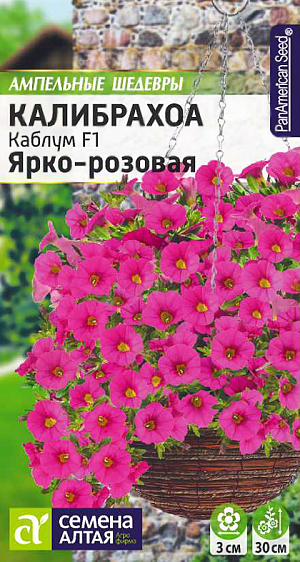 <div>
 Семена Калибрахоа Каблум F1 Ярко-розовая.
</div>
Прекрасное однолетнее растение ампельного типа! Растение по своим характеристикам ничем не уступает калибрахоа, выращенным из черенков. Растение формирует кустик высотой 20-30 см. и 25-36 см. в диаметре, в период цветения весь покрытый массой элегантных миниатюрных ярко-розовых цветков c желтым глазком в центре. Растения прекрасно ветвятся и заполняют посадочную емкость. Является отличным выбором при создании композиций в подвесных кашпо, балконных ящиках и небольших напольных вазонах. Светолюбивое и достаточно засухоустойчивое растение. Предпочитает легкие плодородные, хорошо дренированные почвы. Посевы на рассаду проводят с середины февраля. Семена равномерно распределяют по поверхности субстрата, не заделывая, а лишь слегка вдавливая в грунт. Для получения наилучшего результата посев рекомендуем проводить в торфяные таблетки (одно драже в таблетку). Посевы увлажняют из распылителя и накрывают стеклом для поддержания постоянной влажности. Емкость помещают в светлое теплое место (+22-24°С). Всходы появляются через 10-15 дней, стекло убирают. Февральским посевам требуется дополнительная подсветка. Пока всходы мелкие, их лучше не поливать, а опрыскивать, избегайте попадания на них прямых солнечных лучей. Пикировку проводят в фазе 1-2-х настоящих листочков в подвесные кашпо Ø 25-30 см. В открытый грунт рассаду высаживают в конце мая - начале июня, когда минует угроза возвратных заморозков. Посадочный интервал – 30-40 см. Возможно сохранение растений зимой в освещенном помещении при температуре около +12°С с предварительной обрезкой побегов. Внимание! Семена дражированные - оболочку драже не разрушать!