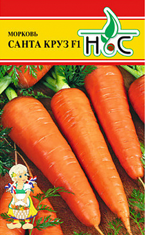 Семена Морковь Санта Круз F1