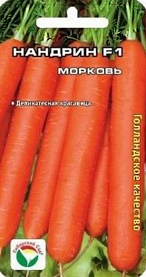 Семена Морковь Нандрин F1