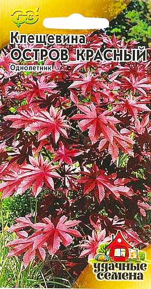 Семена Клещевина Остров красный.
Декоративно-лиственное растение из семейства Молочайные высотой 1,5-2,0 м. Растение мощное, быстрорастущее, раскидистое. 
Стебли прямостоячие, разветвленные, голые. Листья красновато-бронзовые, расположены в очередном порядке, крупные, на длинных полых черешках, пальчато-раздельныe, с 5-10 лопастями. 
Цветки красные, собраны в плотные кистевидные соцветия. Теплолюбива, светолюбива и довольно засухоустойчива, предпочитает участки с плодородной и хорошо обработанной почвой. 
Выращивается рассадным способом. Используется как акцентное растение или в небольших свободных группах. 