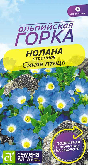 Семена Нолана странная Белая птица

Однолетнее почвопокровное растение высотой около 10 см, иначе называемое чилийским колокольчиком. Ветвистые стелющиеся стебли быстро разрастаются, достигая длины 50-60 см, и способны покрыть за сезон около 1 кв. м. Листья темно-зеленые, цветки насыщенно-голубой окраски с белым зевом. Диаметр цветков около 4 см. Можно выращивать в подвесных кашпо, контейнерах и балконных ящиках, в рокариях и на альпийских горках.
Светолюбивое, довольно неприхотливое растение. Хорошо растет на слабокислых или нейтральных влагопроницаемых почвах. Подходит для выращивания на бедных каменистых грунтах. 