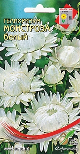 Бессмертник (гелихризум) Монстроза белый