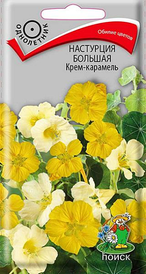 Семена Настурция Большая Крем-карамель. Обилие цветов. Полу стелющиеся побеги длиной до 1,5 м. Смесь состоит из кремово-белой и желтой окраски. Шпорцы длинные, чуть изогнутые. Цветет обильно с июня до заморозков. Используют для вертикального озеленения, балконных ящиков.<br>
 <br>
  Агротехника. Растение предпочитает солнечные или слегка затененные места, умеренно плодородные и влажные почвы.<br>
Семена высевают в мае прямо в открытый грунт, в лунки по три семени. Глубина заделки 2 см. При температуре почвы +20°C всходы появляются на 14-20 день. Расстояние между растениями 20-30 см.