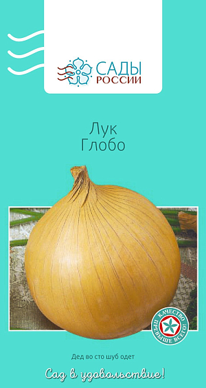 Лук репчатый Глобо
