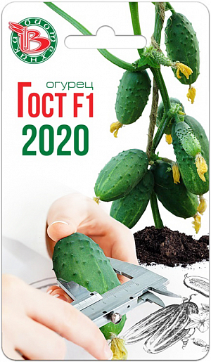 Семена Огурец Гост F1 2020