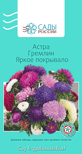 Семена Астра Гремлин Яркое покрывало