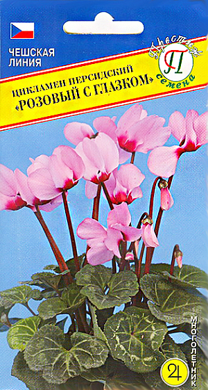 Семена Цикламен Розовый с глазком персидский.
Комнатный многолетник. Особая группа цикламенов, предназначенных для срезки, с прочными и длинными цветоносами (до 30 см); цветки махровые, из 7-11 лепестков, с нежным ароматом, очень крупные, что выгодно отличает эти цикламены от привычных сортов. В зимний период дают высокий урожай великолепных цветков для срезки. Цветет с поздней осени до конца апреля, летом находится в состоянии покоя. 
