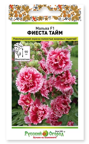 Мальва Фиеста тайм F1 – настоящий взрыв цвета, революция в красках цветочных растений.

Мальва сорта Фиеста тайм F1 отличается обильным и продолжительным цветением. Это двулетнее растение, но цветёт уже на первый год. С момента посадки семян в почву до появления первых настоящих цветов проходит чуть менее трёх месяцев.

Соцветия представлены в виде бутонов, оригинальной, очень насыщенной окраски, с махровыми густыми и плотными лепестками. Такое чудо селекционной мысли способно порадовать любого садовода и просто ценителя всего прекрасного. На складчатых лепестках красный цвет постепенно переходит в насыщенно малиновый тон, а у самых краёв – в белый. Растения идеально впишутся в любую растительную композицию, хорошо подходят для праздничного оформления помещений. Особенно хороши цветы яркой мальвы в срезанном виде, они долго сохраняют свой превосходный свежий вид.

Мальва Фиеста тайм F1 не выносит тень. Выбирать место для посадки нужно солнечное, не ветреное. Растение хоть и отличается засухоустойчивыми качествами, но при этом благодарно относится к регулярному поливу. Мальве не повредят и аэрационные мероприятия. Растение благодарно относится на внесение органических и минеральных подкормок, любит лёгкие почвы. В условиях российской зимы превосходно переносит морозы. Может выращиваться в декоративных цветочных контейнерах
