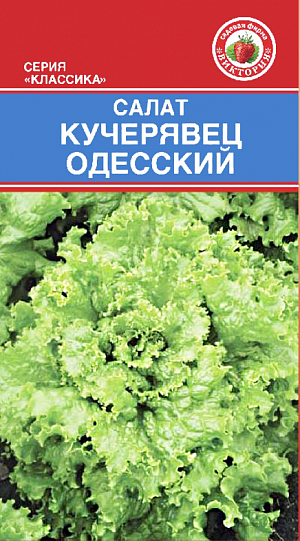Семена Салат Кучерявец Одесский