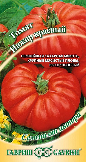 Томат Инжир красный Томат Инжир красный