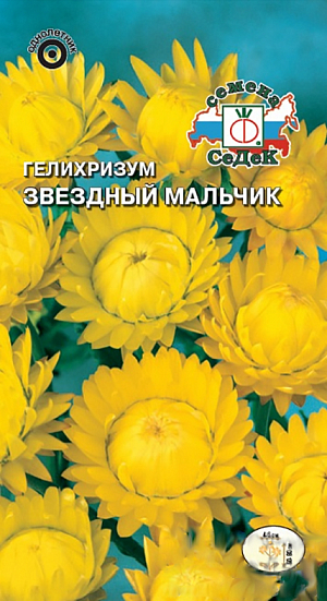 Семена цветов Гелихризум Звездный Мальчик желтый.<br>
 <br>
Травянистое растение высотой 60-80 см. Стебли прямостоячие, ветвистые. Листья темно-зелёные, узкие. Цветки золотисто-жёлтые, махровые, диаметром 4-6 см. Язычковые цветки очень плотные, кажутся неживыми (сухими), поэтому второе название этого растения - бессмертник. Тепло- и светолюбив, предпочитает открытые солнечные места и легкую плодородную почву. Выращивается  преимущественно для флористического материала как сухоцвет для зимних букетов и цветочно-декоративных композиций. Красиво смотрится на клумбах и в миксбордерах.
