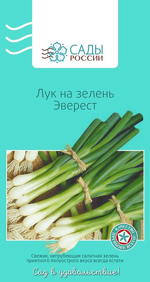Лук на зелень Эверест