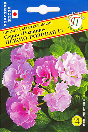 <div>
 Семена Примула Розанна нежно-розовая бесстебельная F1.
</div>
Красивые розоподобные (полностью махровые) цветы в ярких расцветках. Серия «Розанна» - это очень красивое дополнение к стандартному рынку примулы. Многолетнее растение высотой до 15 см. Высокая всхожесть. Красочное растение для контейнеров, вазонов, клумб, очень рекомендуется для внутренних двориков.
ПОСЕВ: в посевные ящики в феврале. Сеют поверхностно, т.к. для лучшего прорастания семенам необходим свет. При посеве и пикировках используют хорошо дренированный, слабокислый субстрат с рН 5,5-5,8. При Т +16-18°С всходы появляются через 7-10 дней. В дальнейшем всходы пикируют. Для формирования качественного растения первые 4 недели сеянцы содержат при дневной Т 14-18°С, с 5 по 10 неделю Т понижают до 7-9°С, а с 11 по 16 неделю Т повышают до 15-17°С. Ночная Т соответственно на 2-4°С ниже. Условия «длинного дня» ускоряют развитие растения и цветение. Полив умеренный, по мере просыхания почвы.