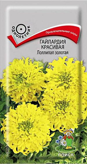 Семена Гайлардия красивая Лоллипап золотая 0,1 гр. Растение раскидистое, опушенное мягкими волосками, высотой 30-35 см. Соцветия до 6-7 см в диаметре, на длинных, тонких цветоносах. Язычковые цветки ланцетовидные, зубчатые. Трубчатые цветки золотого цвета. Цветет обильно с июля по ноябрь. Используют для групп, рабаток, миксбордеров и срезки.<br>
 <br>
  Агротехника. Растение предпочитает солнечное место, легкие, сухие почвы, минимальный полив.<br>
Семена высевают в марте-апреле в рассадные ящики или в мае в открытый грунт. Семена слегка присыпают землей. Посадочную емкость прикрывают стеклом и ставят в светлое место.  При температуре почвы +20-25°C всходы появляются на 10 день. В грунт рассаду высаживают в конце мая, выдерживая расстояние между растениями 25-30 см.