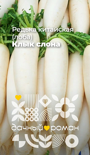 Семена Редька китайская (лоба) Клык слона