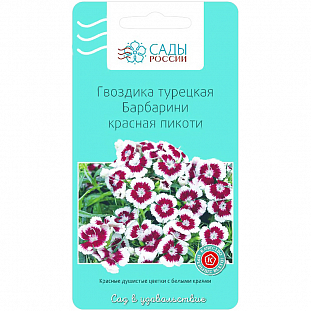 Семена Гвоздика Барбарини красная пикоти турецкая