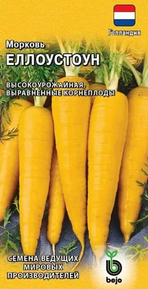 Семена Морковь Еллоустоун