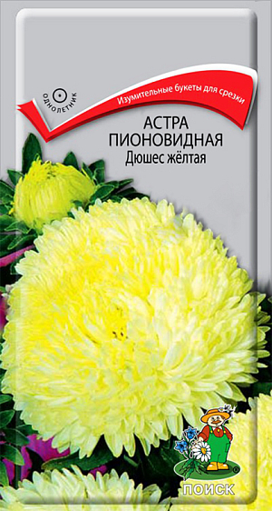 Семена Астра Дюшес желтая Пионовидная.
Изумительные букеты для срезки. Куст высотой 70 см. Соцветия желтые, 8-10 см в диаметре.
 Цветет август-сентябрь. Используют для посадки в сборные цветники группами, на рабатки – рядами и для срезки. 
Растение предпочитает открытое солнечное место, но выносит и полутень. 
Лучше растет на легких, плодородных почвах. 
Не переносит внесения органических удобрений в год посадки. Семена высевают с середины фев
раля по апрель. 
Глубина заделки семян 0,5 см. При температуре почвы +20°C всходы появляются на 7-14 день. 
Через 3-4 недели посевы пикируют и выращивают при температуре 12-15 °C. 
В грунт рассаду высаживают во второй половине мая, выдерживая расстояние между растениями 30-35 см.